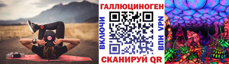 блэк спрут вход Карталы Псилоцибиновые грибы GOLDEN TEACHER
